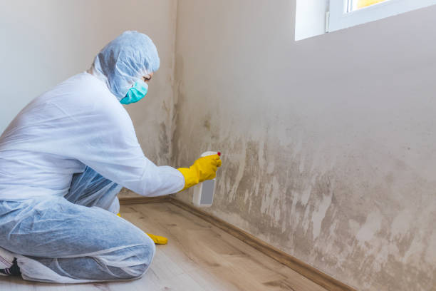 Mold Remediation specialist working in Queen Anne