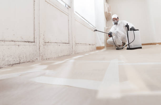 Black mold remediation team in Queen Anne